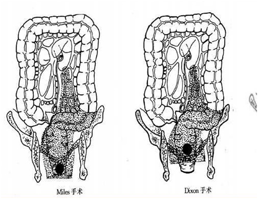 QQ圖片20190808085129.png QQ圖片20190808085129.png