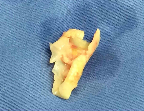 QQ圖片20200827081428.png QQ圖片20200827081428.png