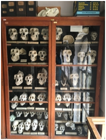 QQ圖片20200901145436.png QQ圖片20200901145436.png