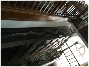 QQ圖片20200901145552.png QQ圖片20200901145552.png