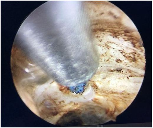 QQ圖片20201214102112.png QQ圖片20201214102112.png