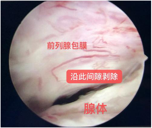 QQ圖片20201214102142.png QQ圖片20201214102142.png