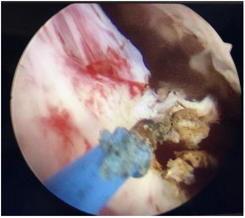 QQ圖片20201214102254.png QQ圖片20201214102254.png