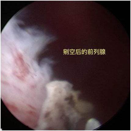 QQ圖片20201214102523.png QQ圖片20201214102523.png