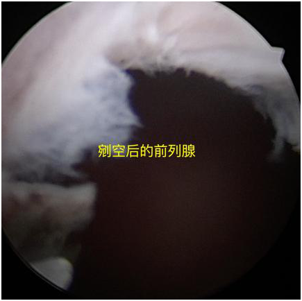 QQ圖片20201214102622.png QQ圖片20201214102622.png