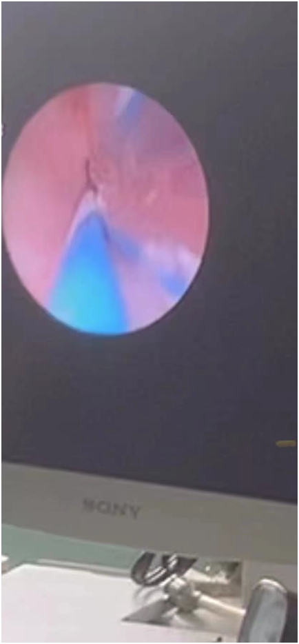 QQ圖片20210408165829.png QQ圖片20210408165829.png