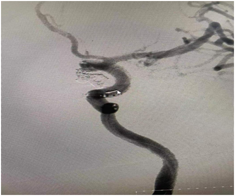 QQ圖片20210617083709.png QQ圖片20210617083709.png