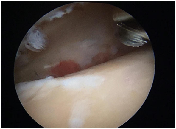 QQ圖片20210712163646.png QQ圖片20210712163646.png