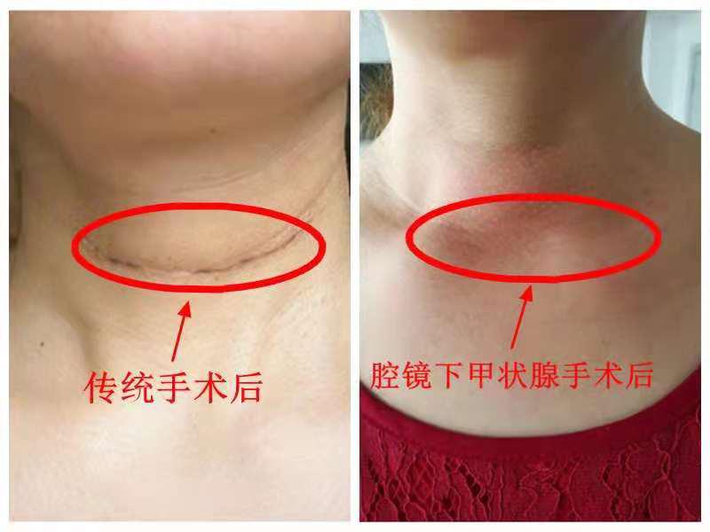 圖片3.jpg 圖片3.jpg