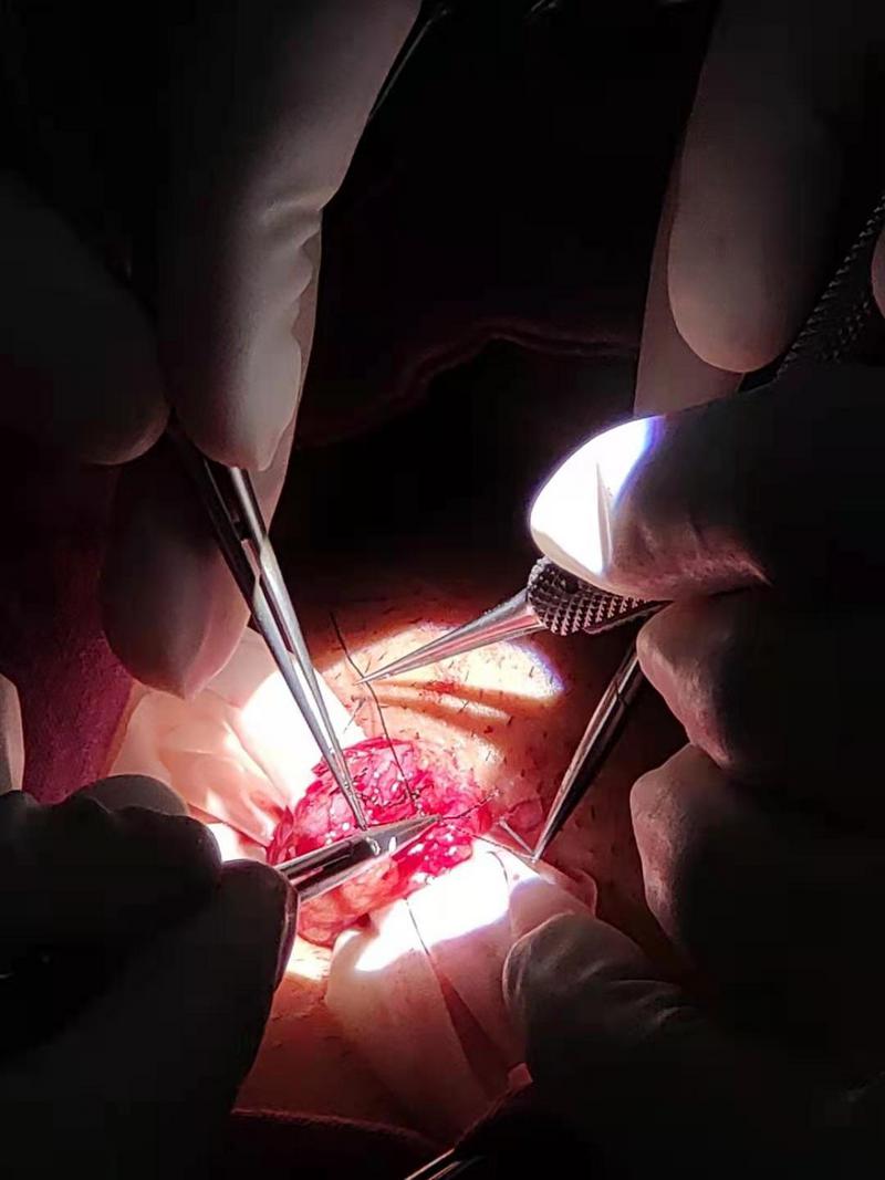 微信圖片_20210816164004.jpg 微信圖片_20210816164004.jpg