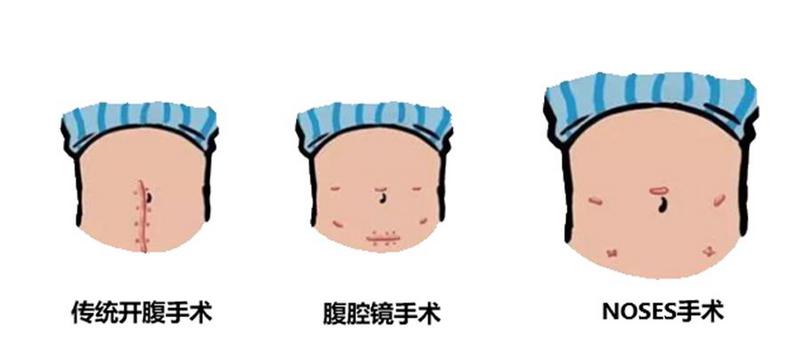 圖片1.jpg 圖片1.jpg