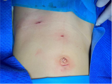 QQ圖片20211110101258.png QQ圖片20211110101258.png