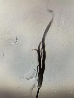 QQ圖片20211117164102.png QQ圖片20211117164102.png