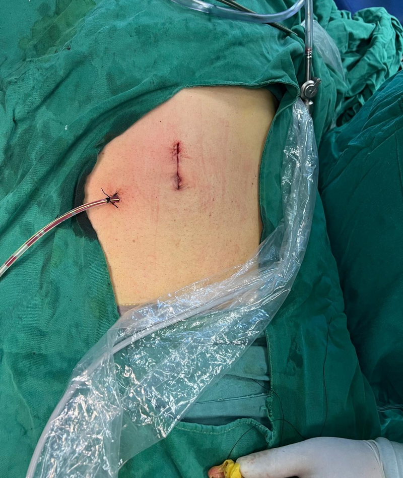 圖片3.png 圖片3.png