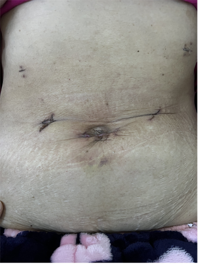 圖片22.png 圖片22.png