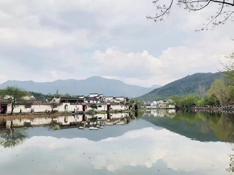 圖片1.png 圖片1.png