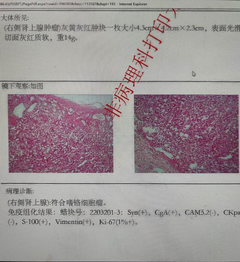 微信圖片_202203161451371.jpg 微信圖片_202203161451371.jpg