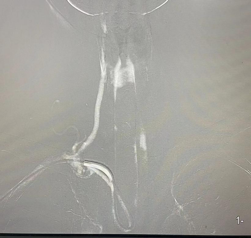 圖片3.png 圖片3.png