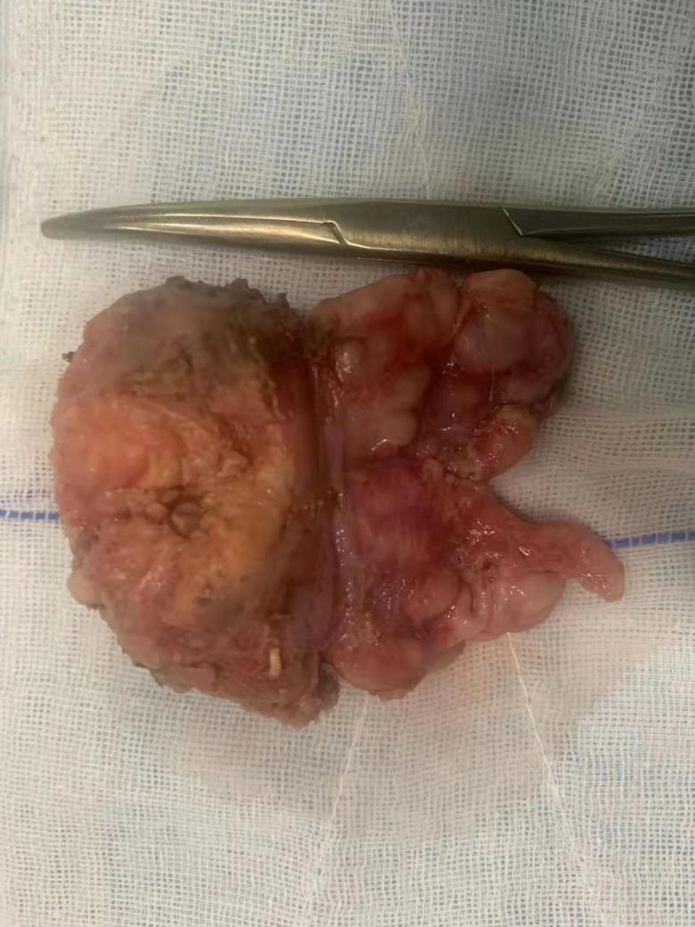 圖片3.png 圖片3.png