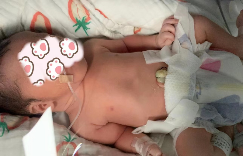 圖片1.png 圖片1.png