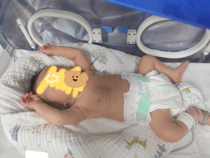 圖片2.png 圖片2.png