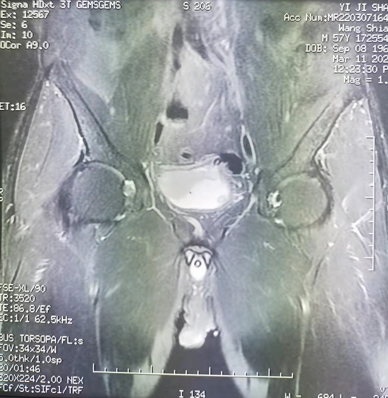 圖片1.png 圖片1.png