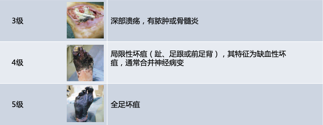 圖片3.png 圖片3.png