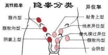 圖片4.png 圖片4.png