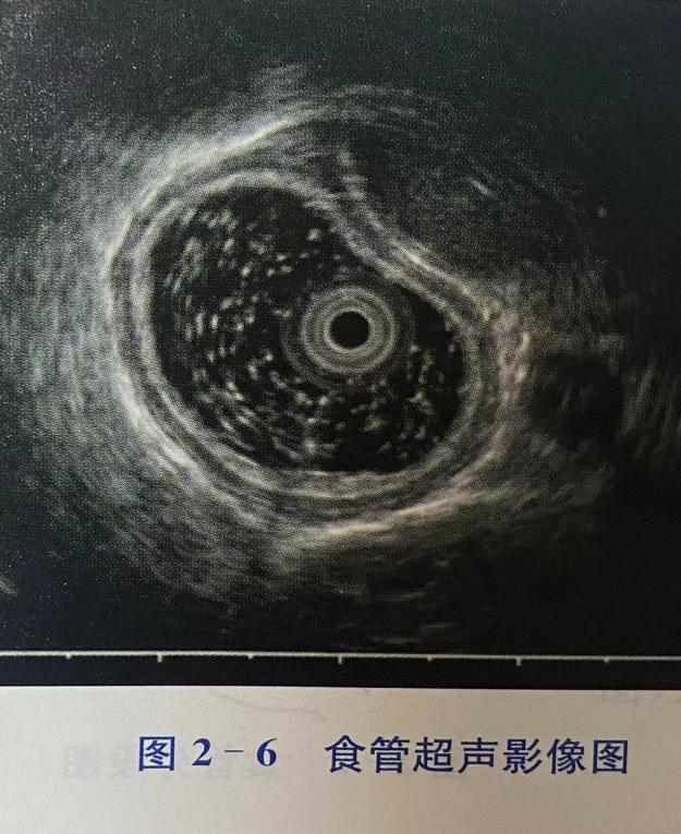 圖片2.png 圖片2.png