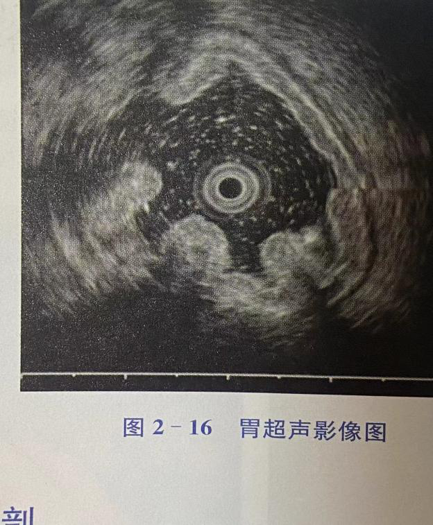 圖片3.png 圖片3.png