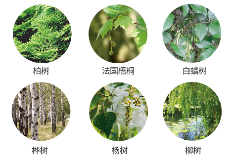 圖片3.png 圖片3.png