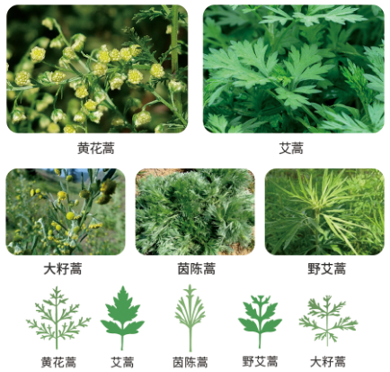 圖片4.png 圖片4.png