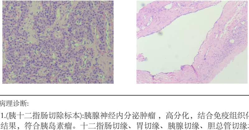 圖片1.png 圖片1.png