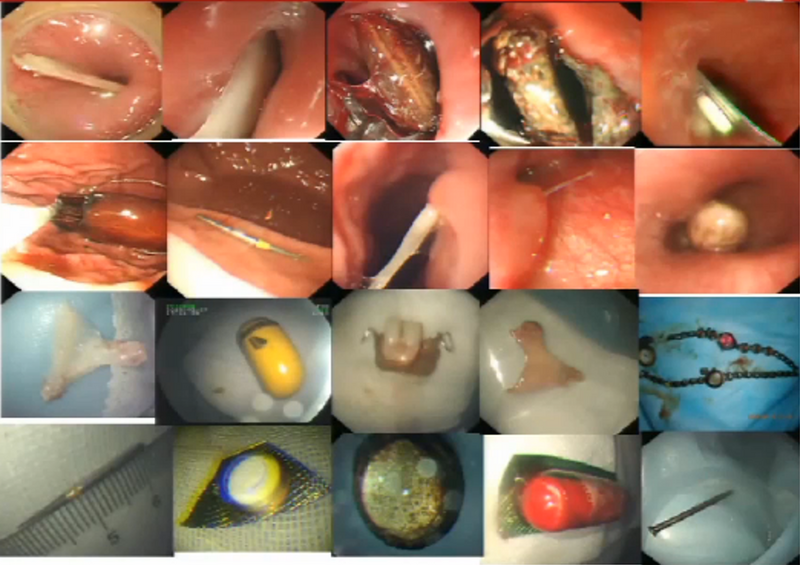 圖片5.png 圖片5.png