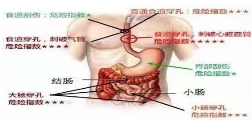 圖片6.png 圖片6.png