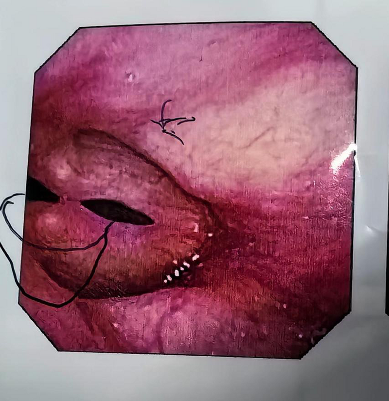 圖片1.png 圖片1.png