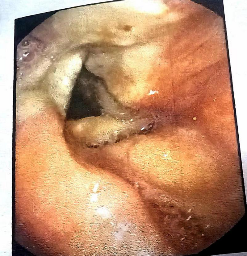 圖片2.png 圖片2.png