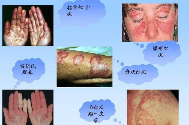 圖片1.png 圖片1.png