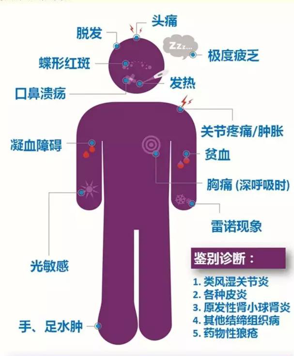 圖片2.png 圖片2.png