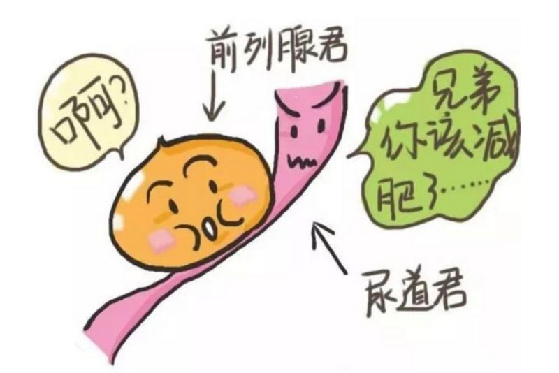 圖片3.png 圖片3.png