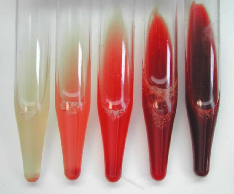 圖片1.png 圖片1.png