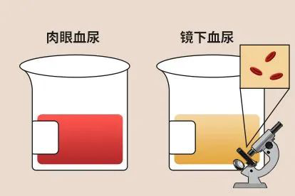 圖片2.png 圖片2.png