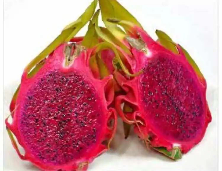 圖片3.png 圖片3.png