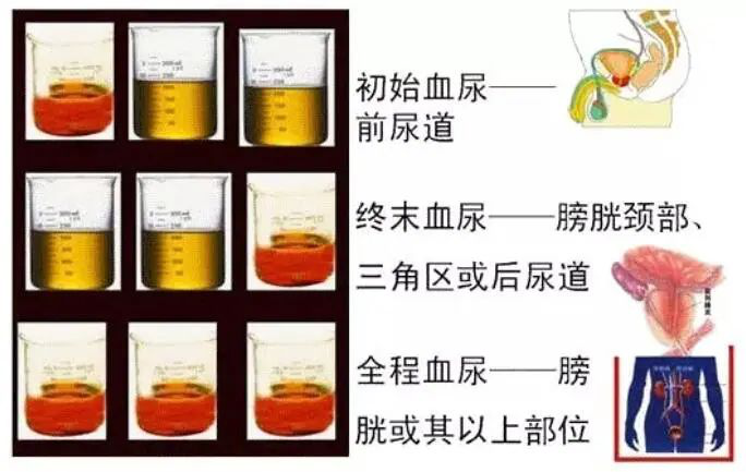 圖片4.png 圖片4.png