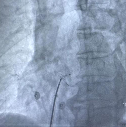 圖片3.png 圖片3.png