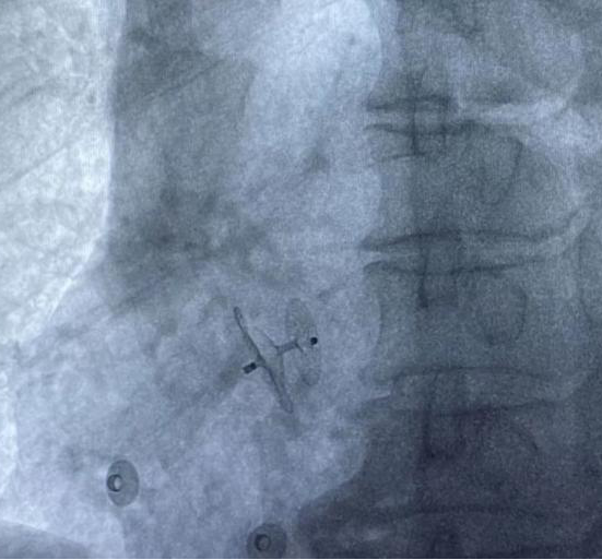 圖片4.png 圖片4.png