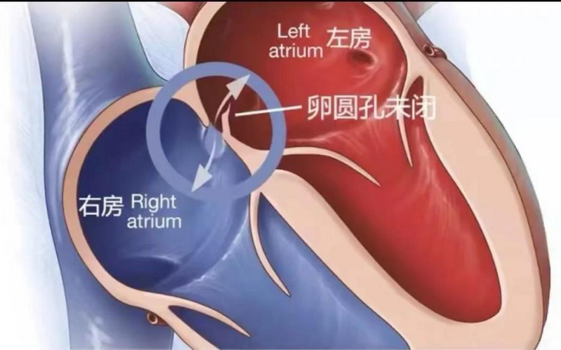 圖片5.png 圖片5.png