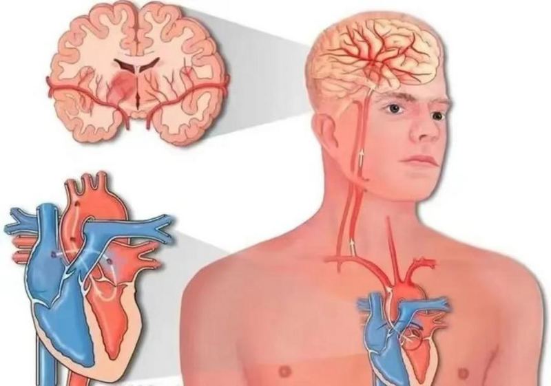 圖片6.png 圖片6.png