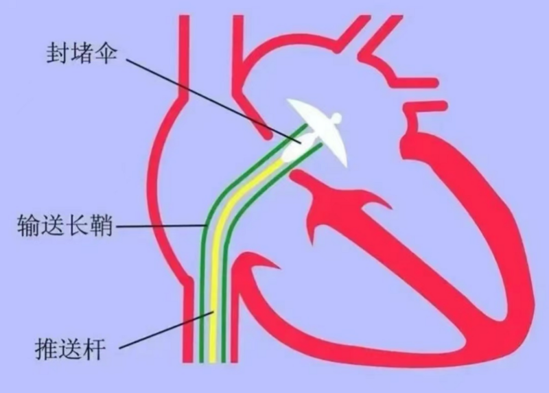 圖片7.png 圖片7.png