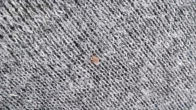 圖片3.png 圖片3.png